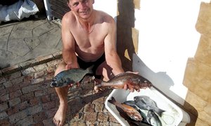 Tekens van kabeljou en iets oor die duiksport